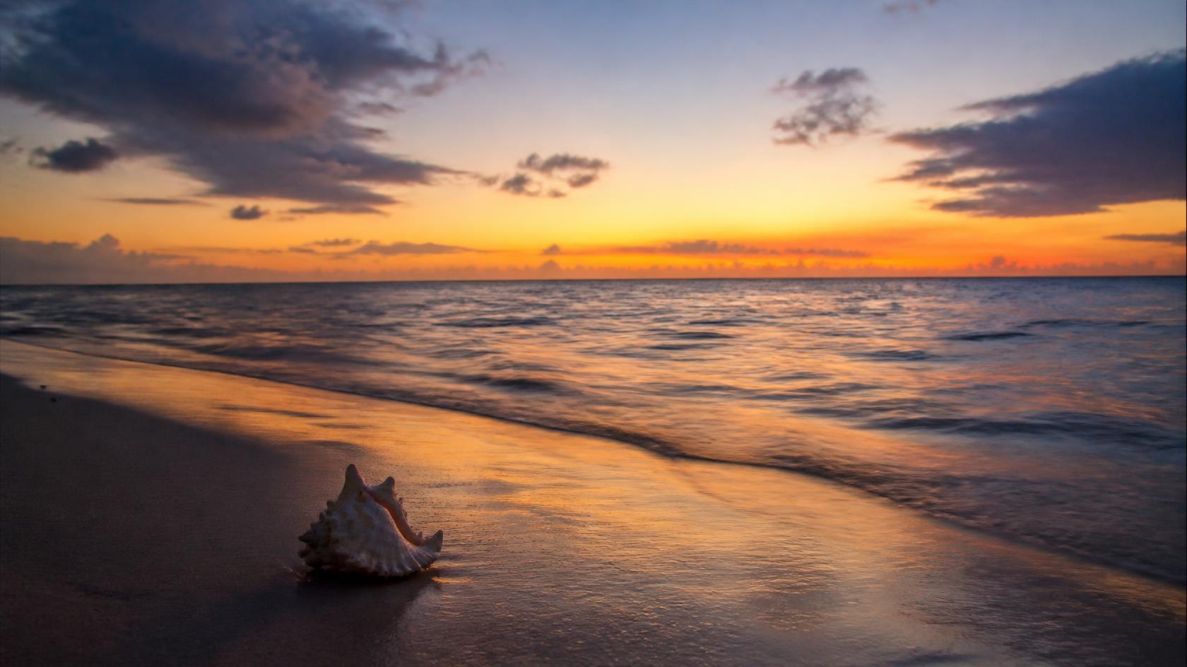 Caribbean ocean shoreline