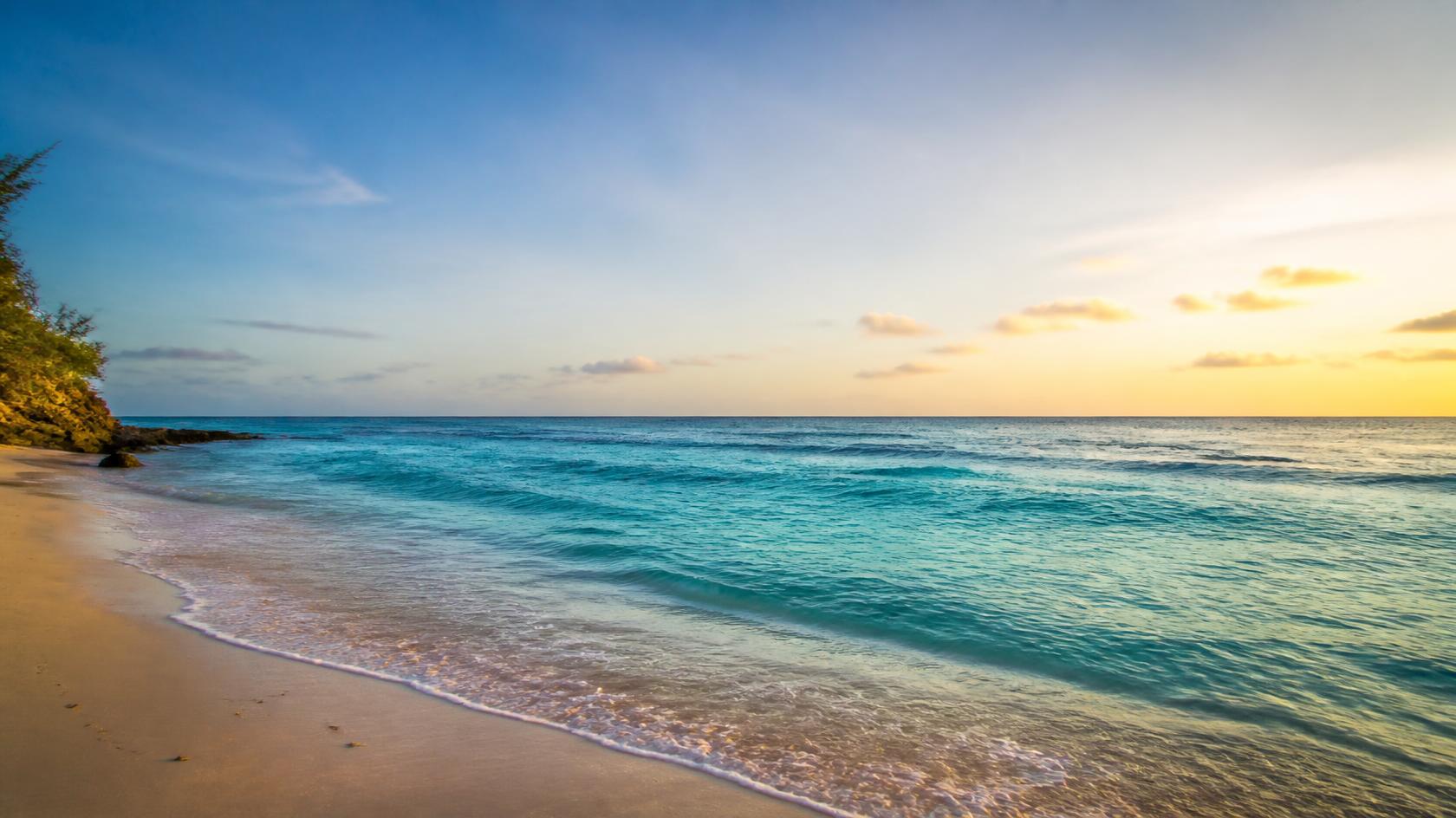 Caribbean shoreline