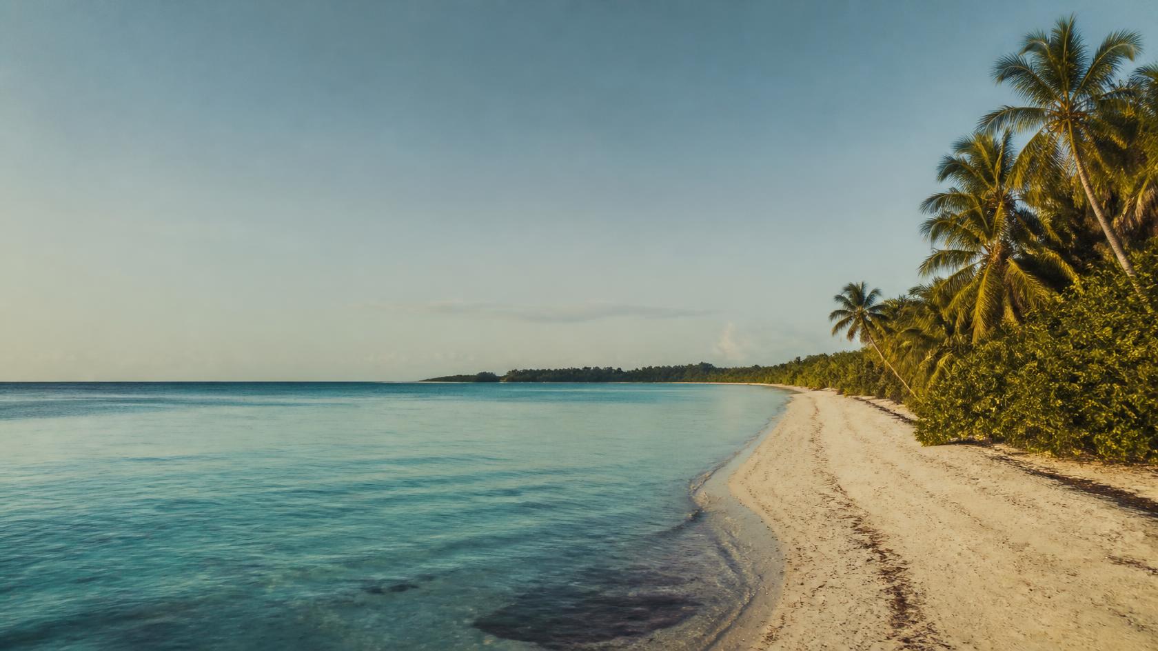 Caribbean shoreline